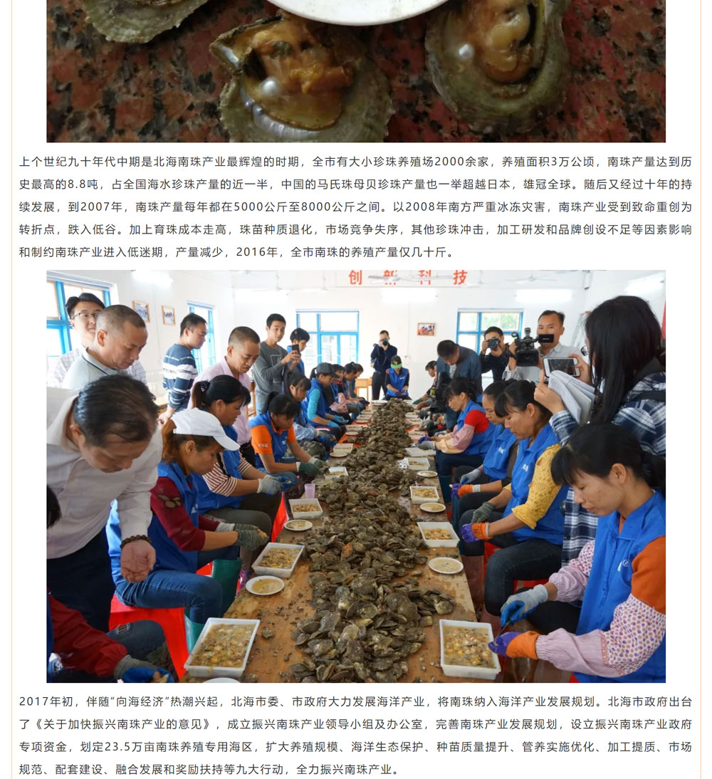 古老南珠，綻放異彩